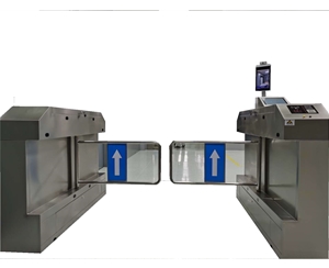JH-006人臉ESD靜電測試擺閘